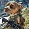 Иконка канала MamkinHeroy