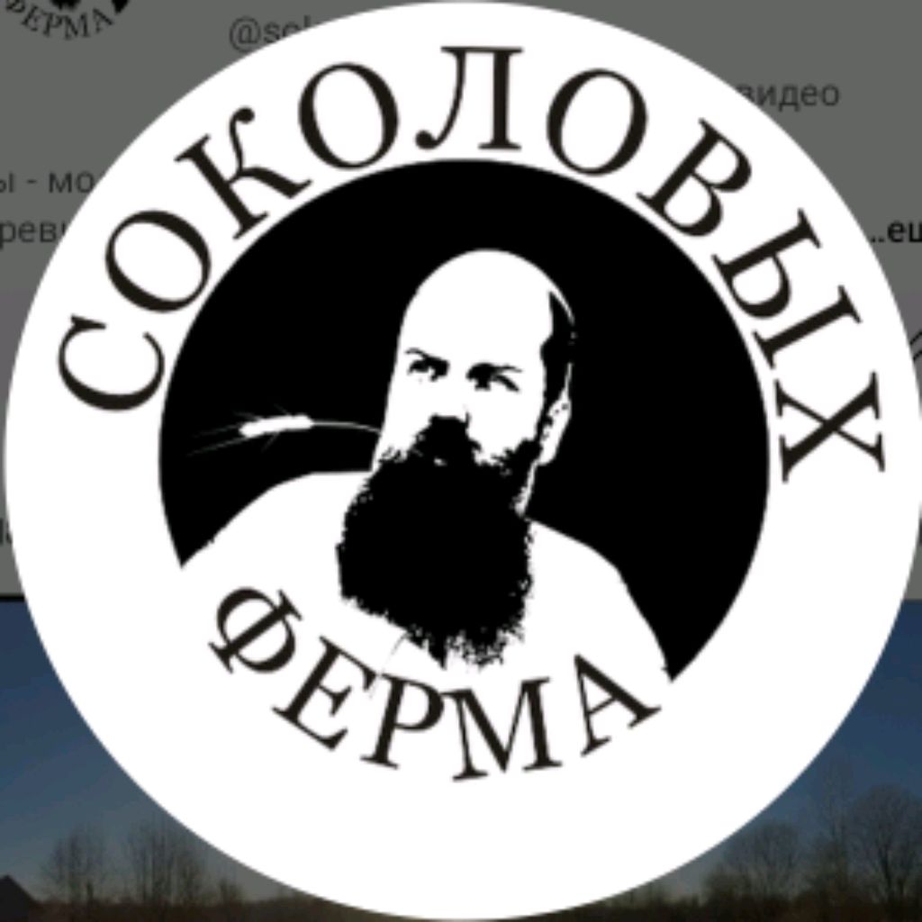Иконка канала Ферма Соколовых