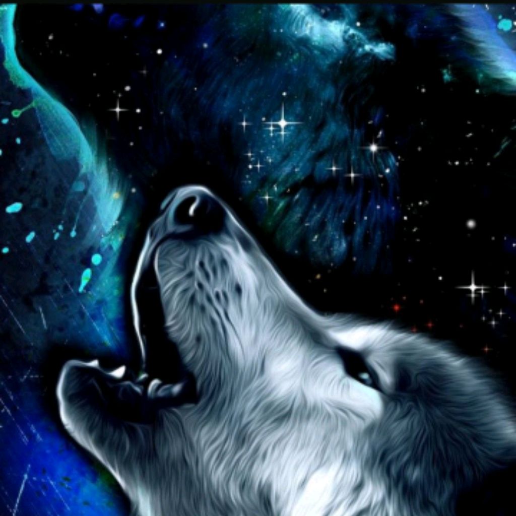 Иконка канала Ris