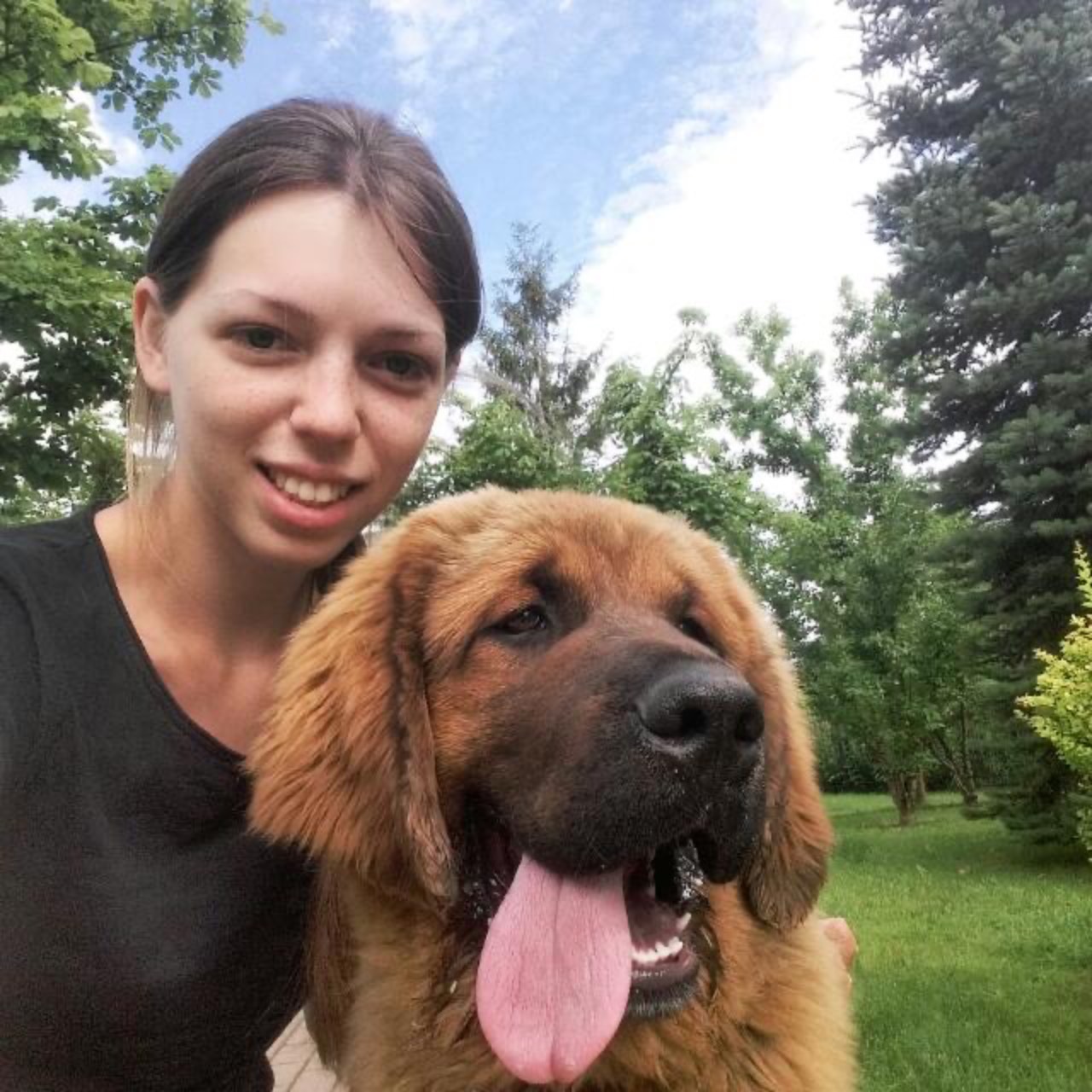 Аватар автора