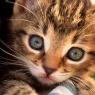 Иконка канала Denis Neko