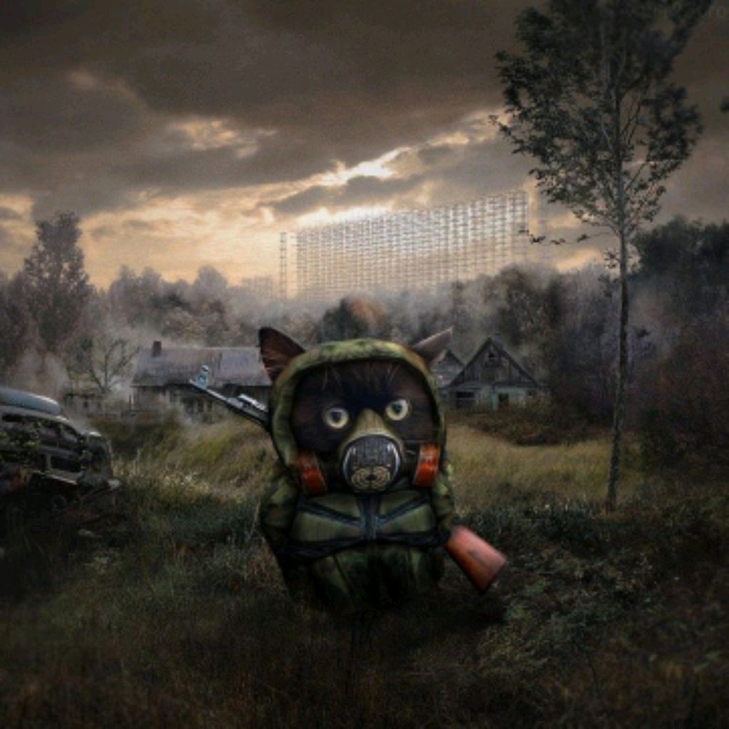 Аватар автора