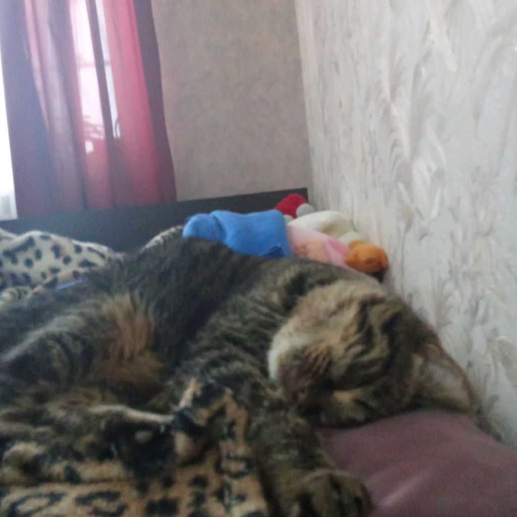 Аватар