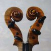 Иконка канала Рецепты хорошей музыки 🎻🎻