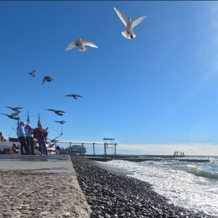 Аватар автора