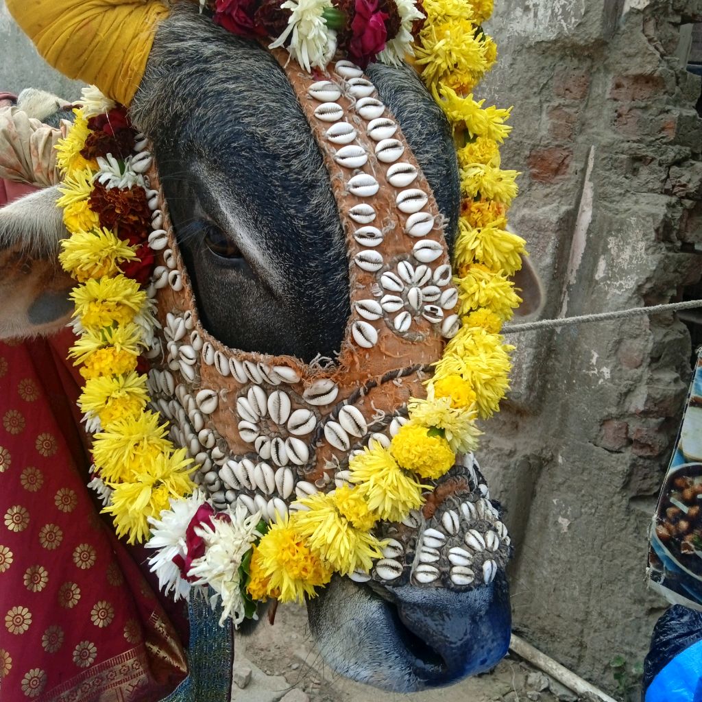 Иконка канала Welcome to Vrindavan