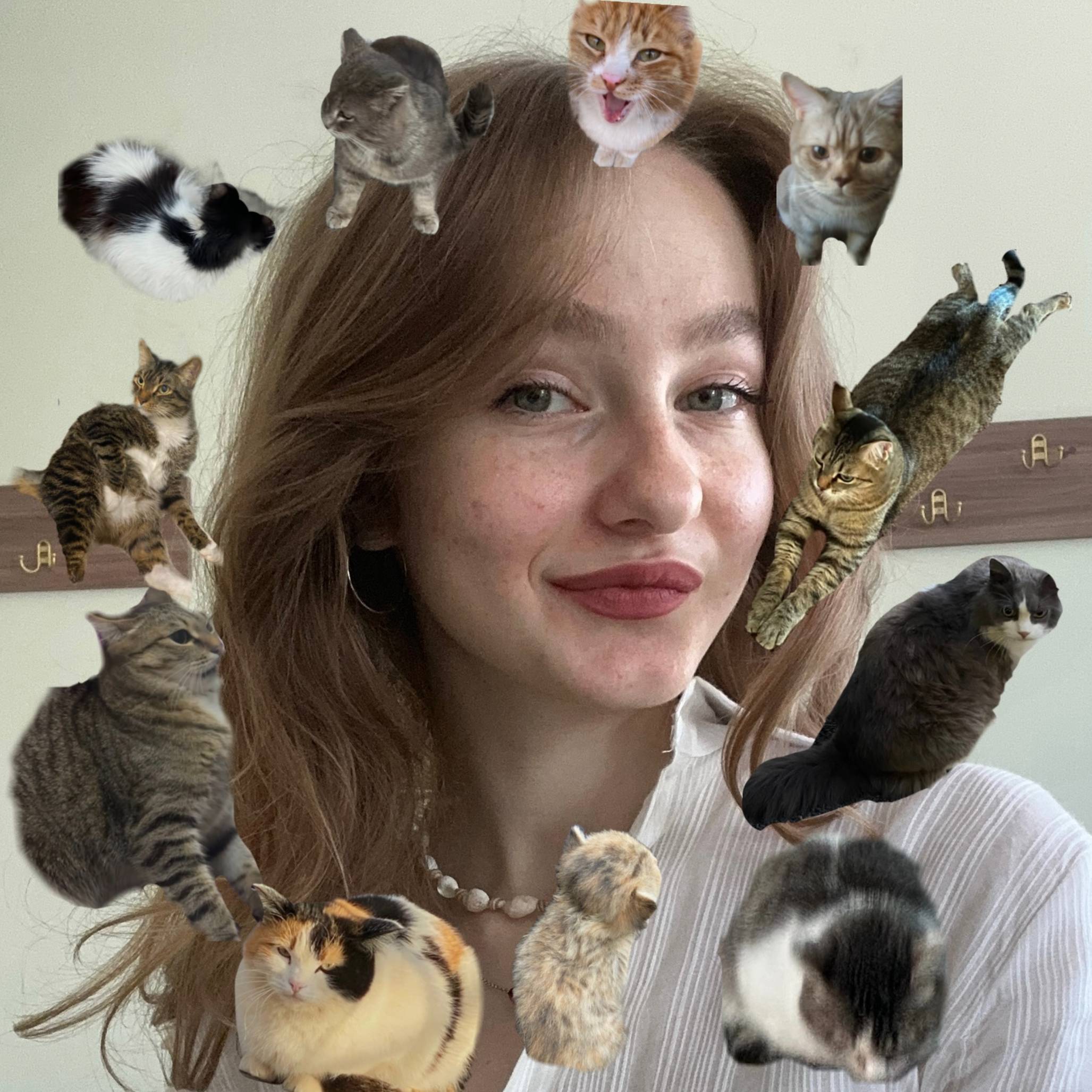 Аватар автора