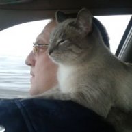 Иконка канала DAv...