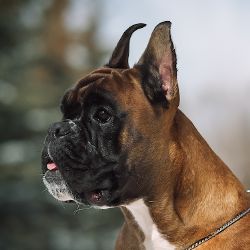 Иконка канала helen_mckey