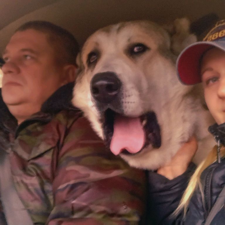 Аватар автора