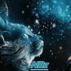 Иконка канала NBZ
