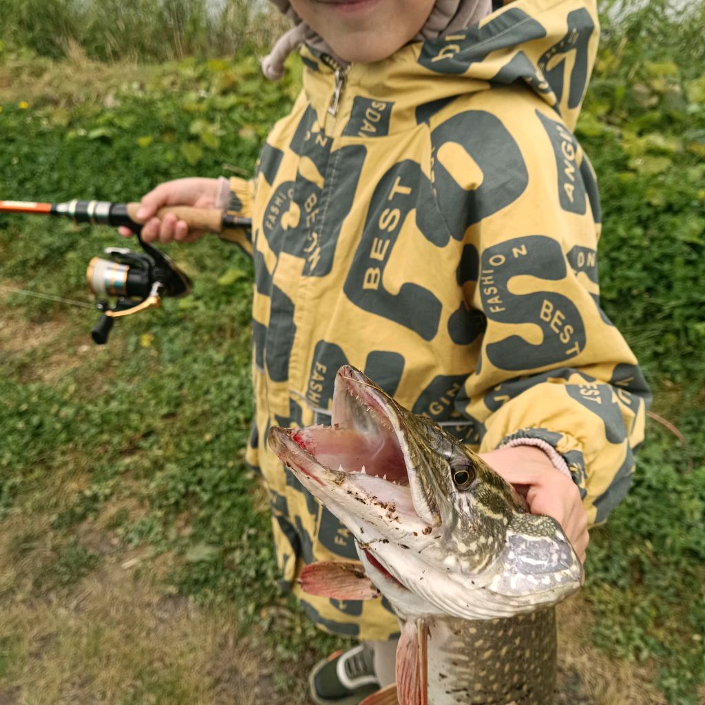 Иконка канала ZahaKob