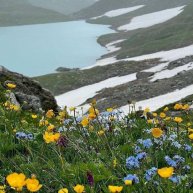 Иконка канала channel43648135