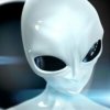 Иконка канала channel arenda