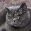 Иконка канала dmvlspb