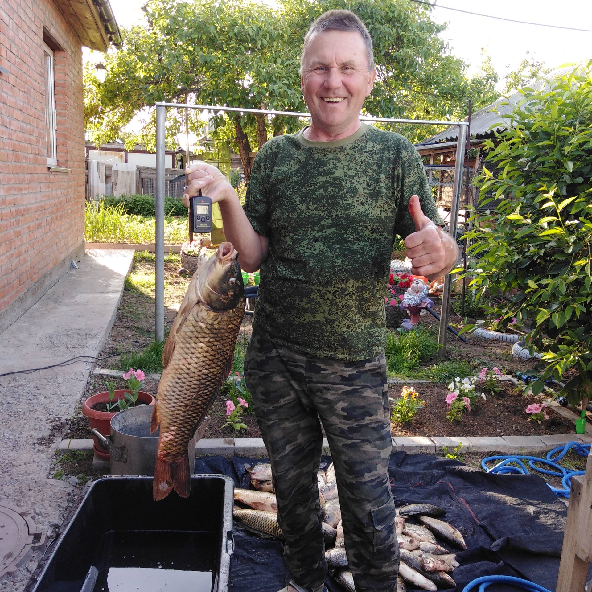 Аватар автора