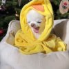 Иконка канала Непоседа