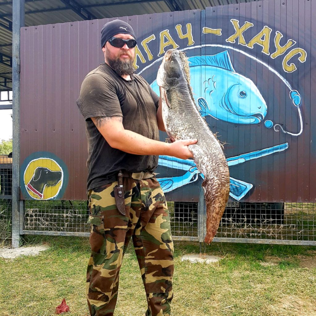 Аватар автора