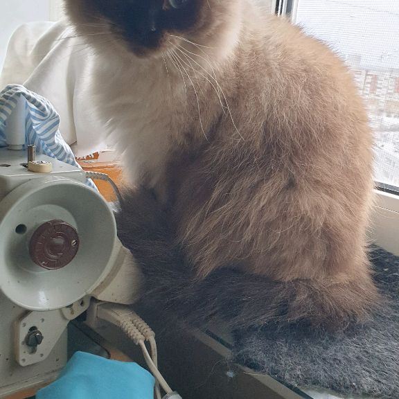 Аватар автора