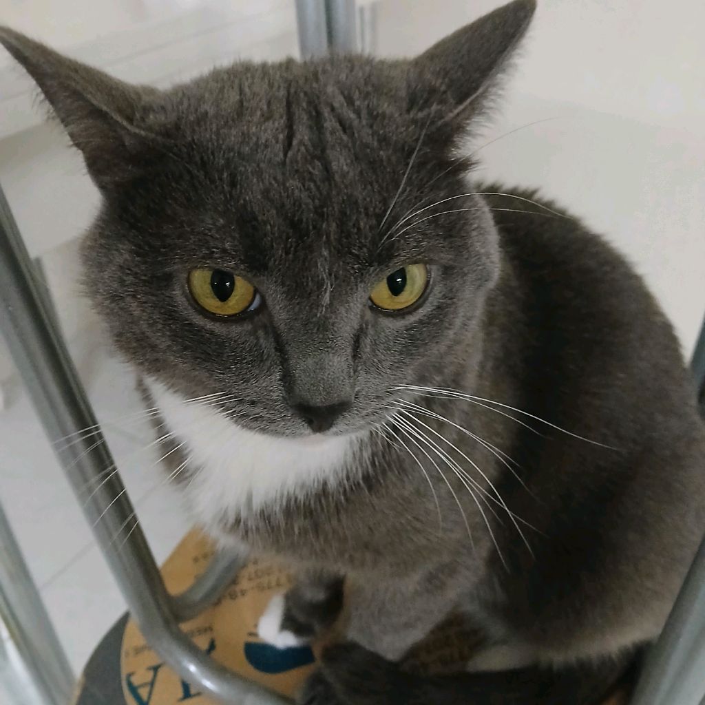 Иконка канала Арман Геймер