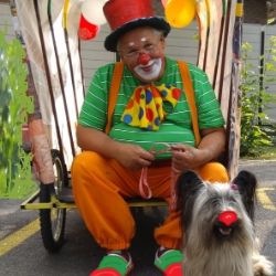 Аватар автора