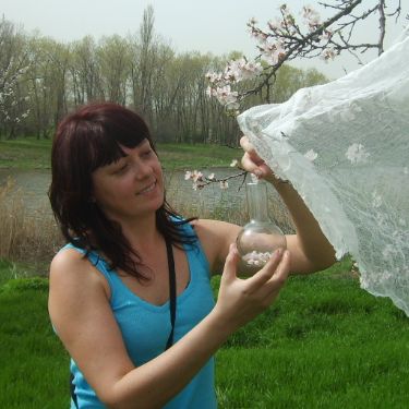 Аватар автора