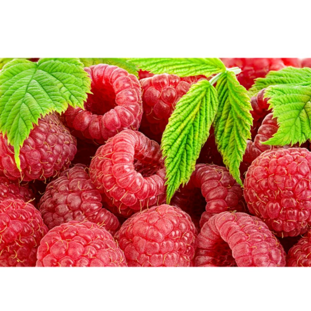 Иконка канала Подружка Маринка