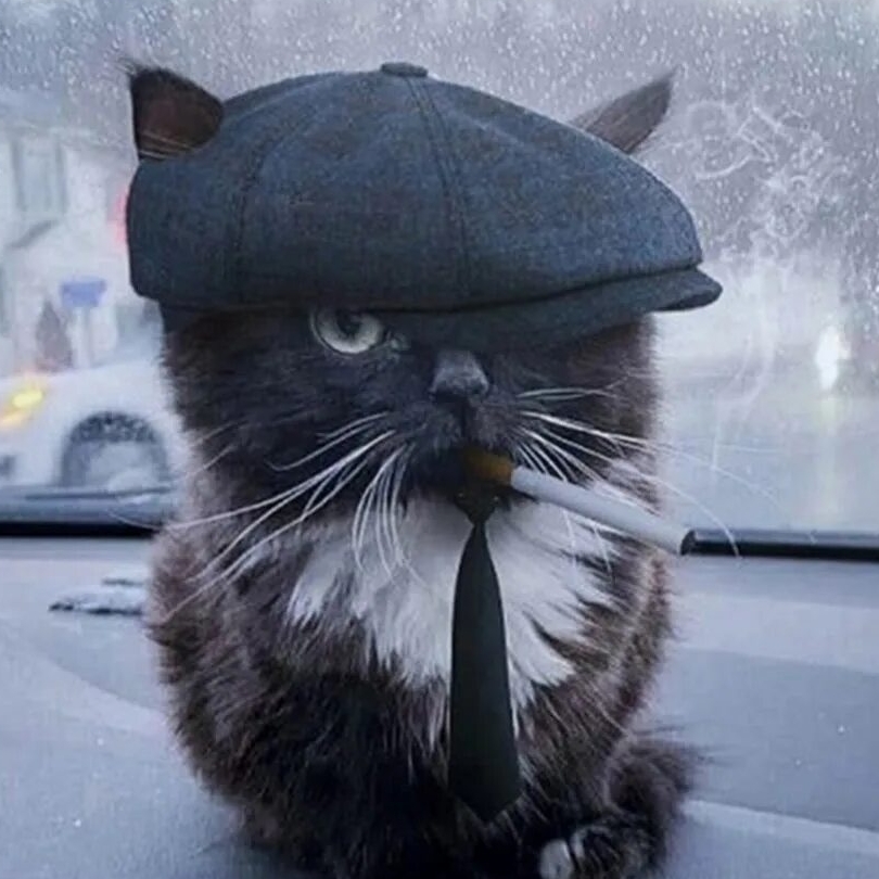 Аватар автора