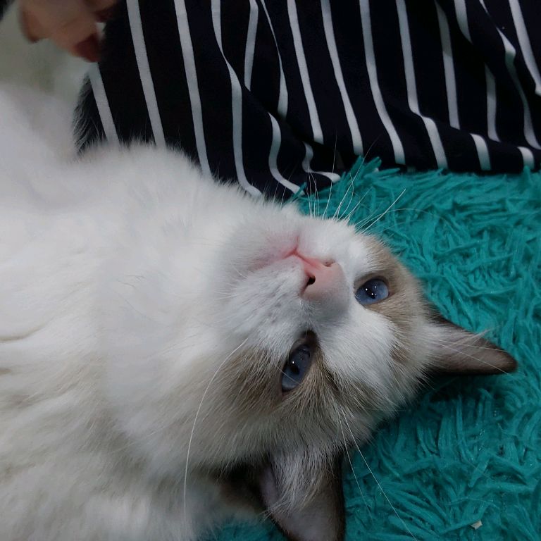 Иконка канала Рома Фортнайт