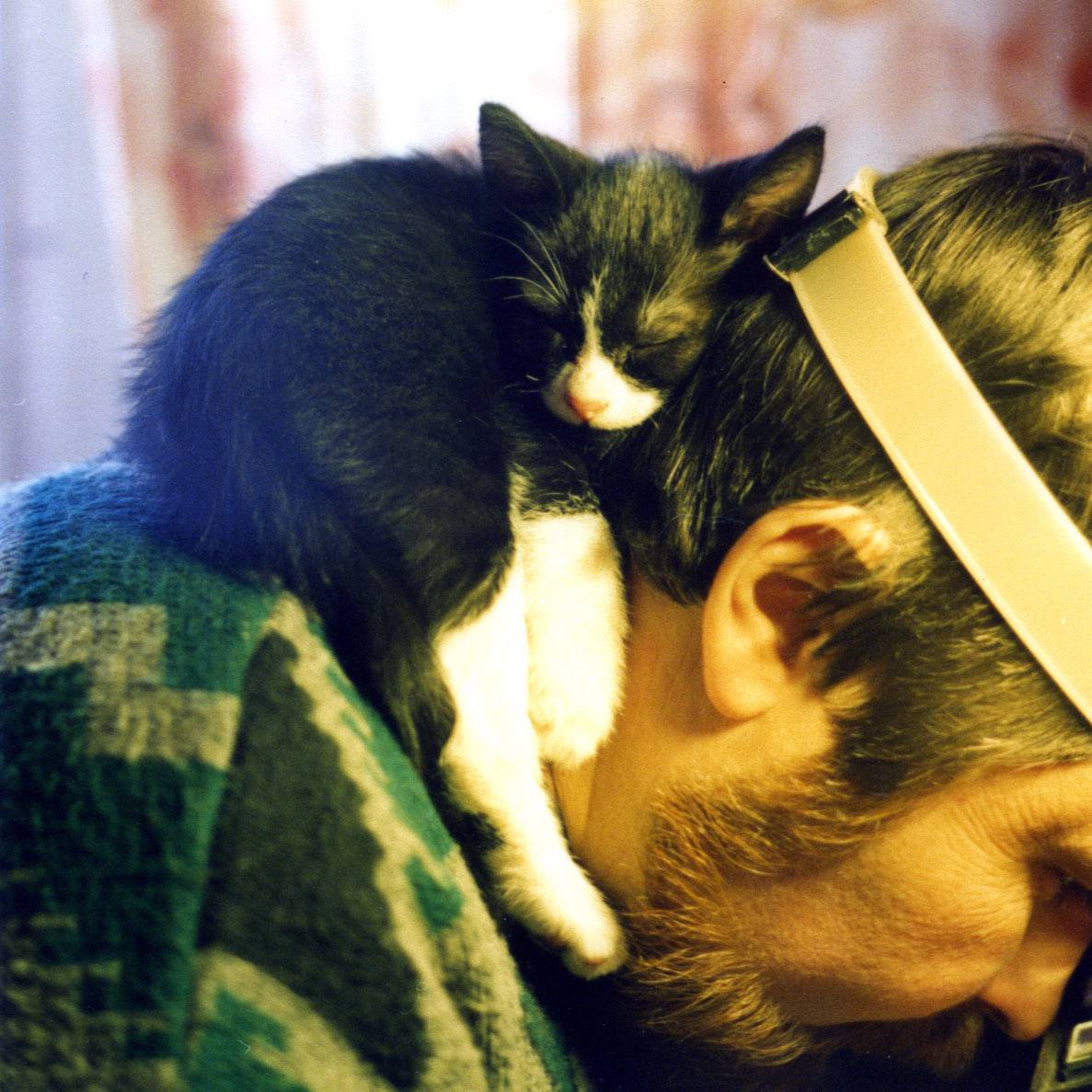 Аватар автора