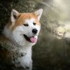 Иконка канала Женя_Эффект