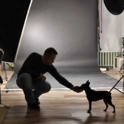 Аватар автора