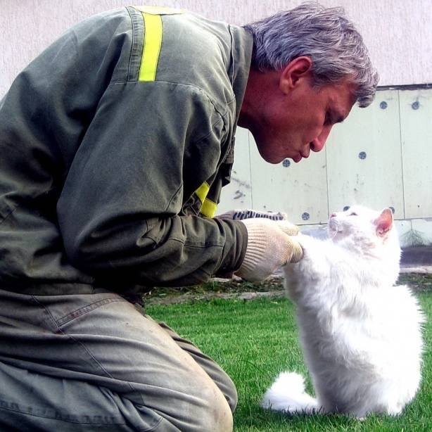 Аватар автора