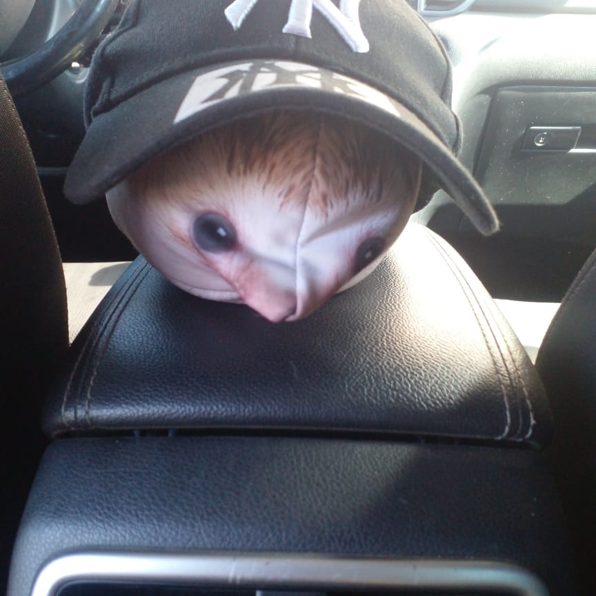 Аватар автора