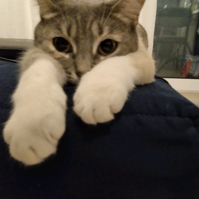 Иконка канала Мащаща