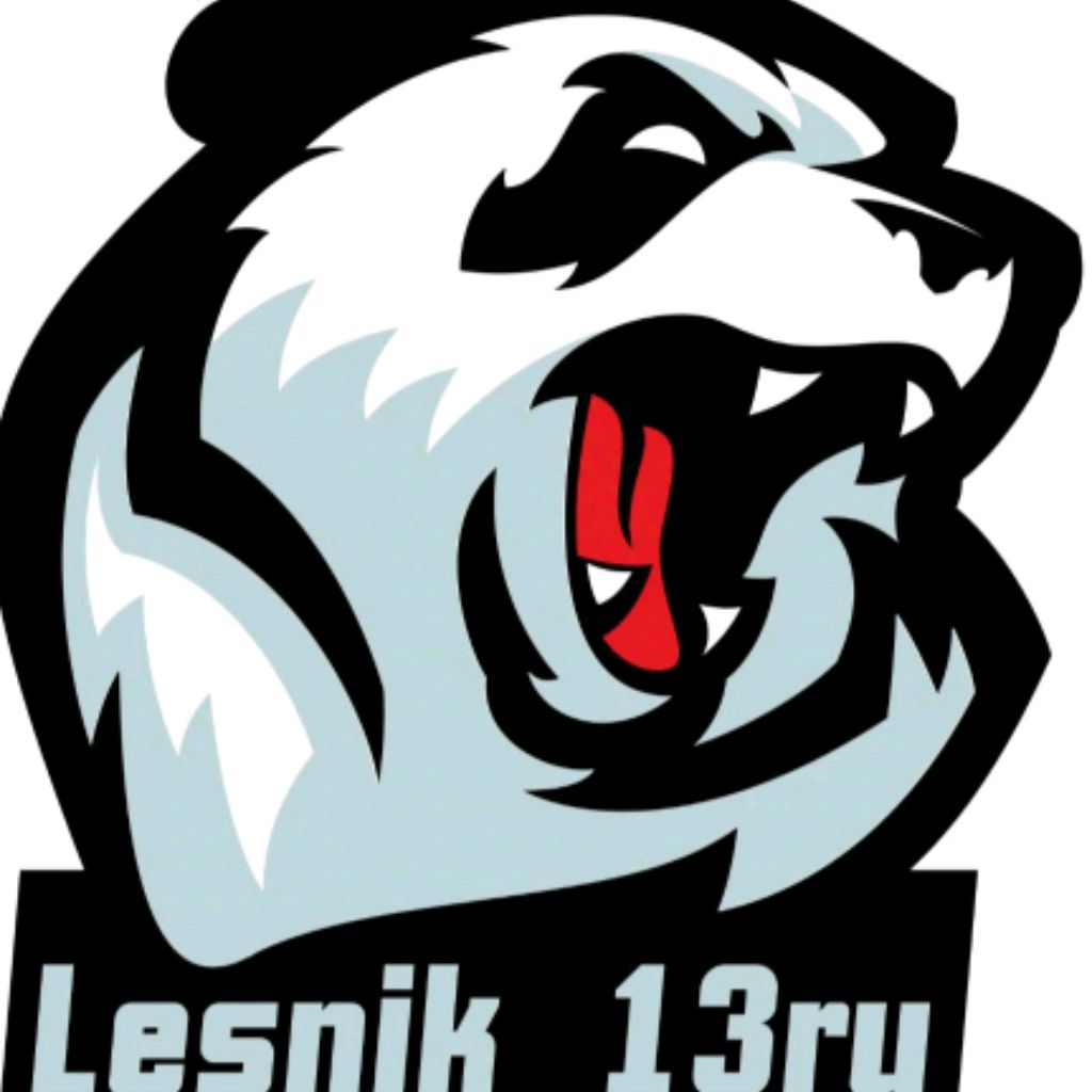 Иконка канала Lesnik_13ru