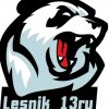 Иконка канала Lesnik_13ru