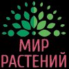 Иконка канала Питомник "Мир Растений" mir-rast.ru