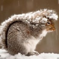 Иконка канала AnTiks