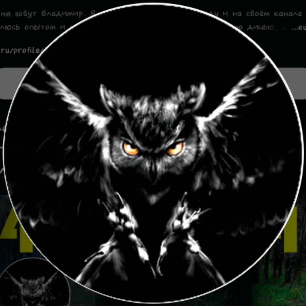 Аватар автора