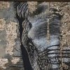Иконка канала Студия зеркальных панно и картин