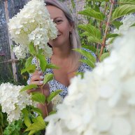 Иконка канала Кустики-травинки питомник гортензий