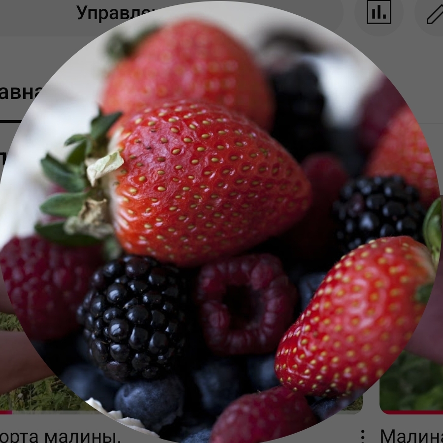 Аватар автора