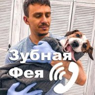 Иконка канала Чистка зубов собакам без наркоза Москва dogguru.ru