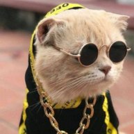 Иконка канала Catplay_YT