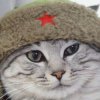Иконка канала Тимоха