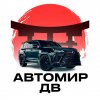 Иконка канала avtomir_dv
