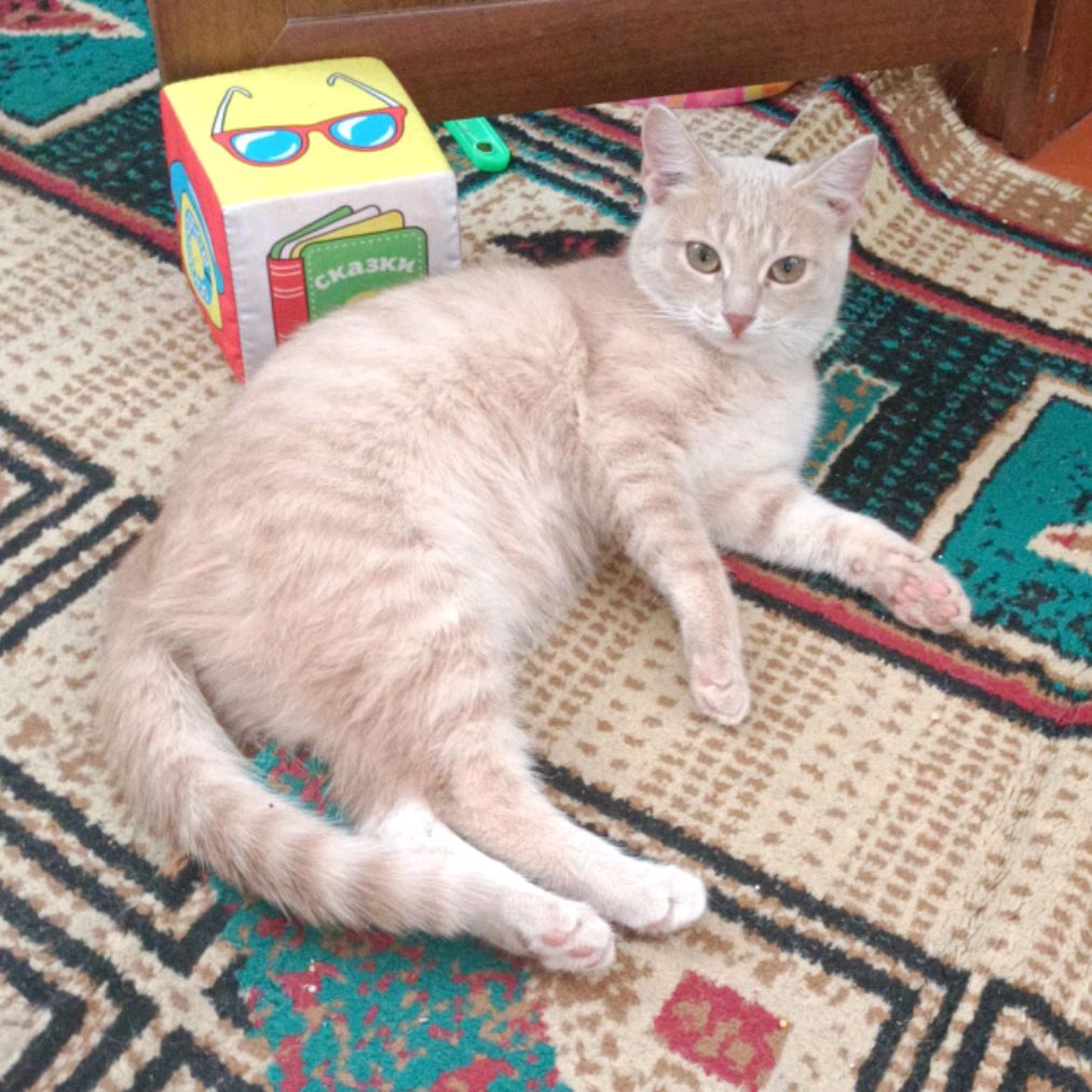 Аватар автора