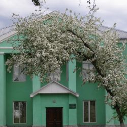 Аватар автора