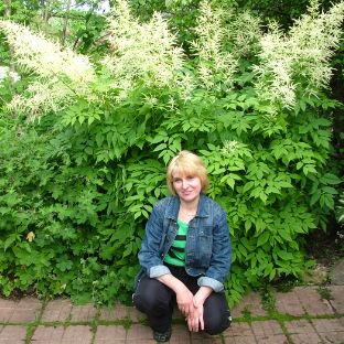 Аватар автора